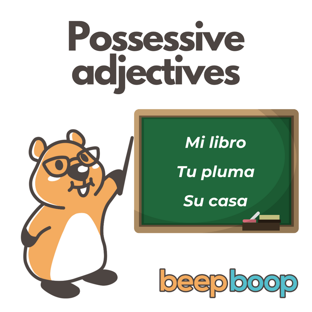 Possessive Adjectives in Spanish: Understanding Ownership