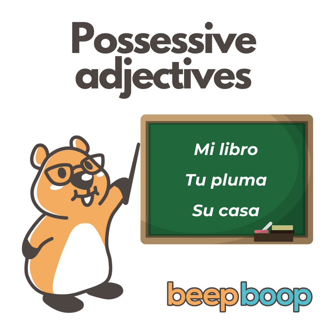 Possessive Adjectives in Spanish Understanding Ownership grammar and