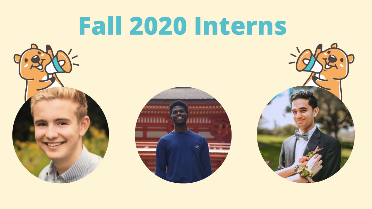 Meet the Fall 2020 Interns | beepboop.us Newsletter blog