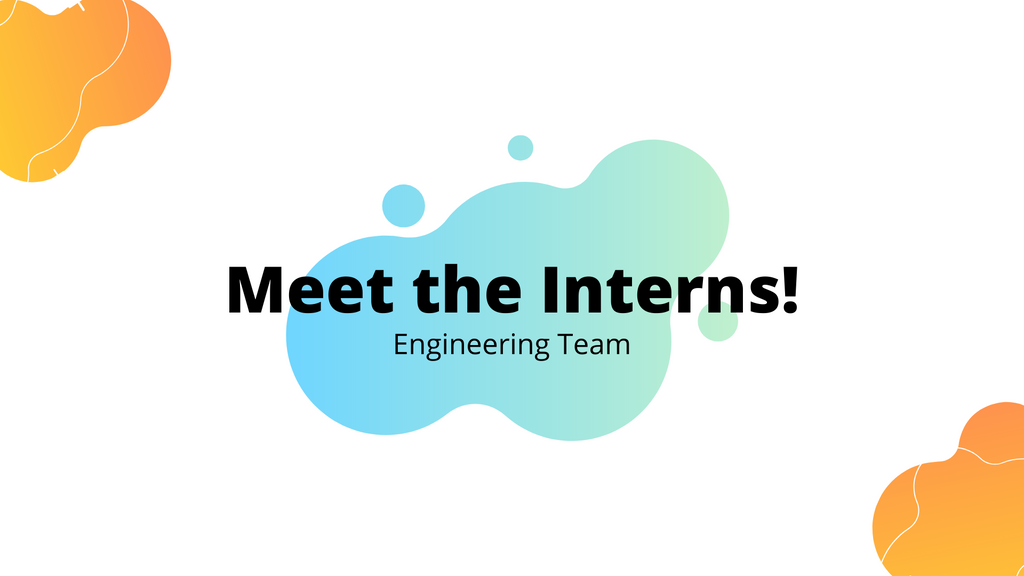 Meet the Engineering Interns!